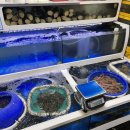 동원대게수산식당 이미지