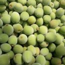 석경농장 이미지