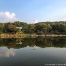 밤섬농장 | [경기도 남양주시] 새말낚시터