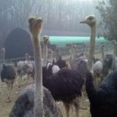 창민농장 이미지