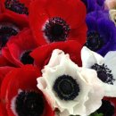 크린스마트 이미지