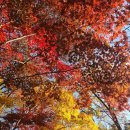 입곡군립공원(주차장옆) 이미지