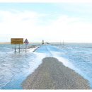 성원행정사 사무소 이미지