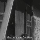 일용이네