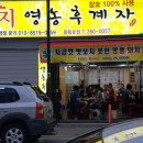 돼지영농후계자 이미지