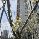 김바비네고덕금호어울림점 | 오랜만에 방문한 고덕 금호어울림 김바비네 방문후기