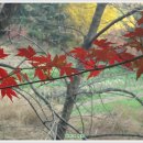 성지요양병원 이미지