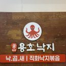 #창원시청 근처 점심/저녁 맛집 찾는다면? 용호동낙지 창원시청점 솔직 후기