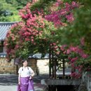 고려동유적지 이미지