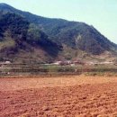 안암초등학교 이미지