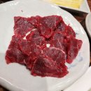 황소네집 이미지