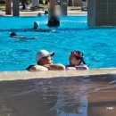 부영(아) | 제주 중문 5성급 부영호텔 오션뷰 트윈룸 야외수영장 조식 후기