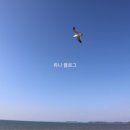 율암온천