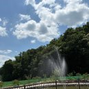 산정농원 | 포천 캠핑장 너우리캠핑농원, 아이 있는 가족의 힐링 캠핑지 🏕️