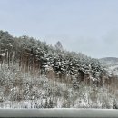 그린피아편의점