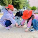 수안체육공원 이미지