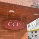 해리단길 카페 CCD Coffee 씨씨디 커피 후기