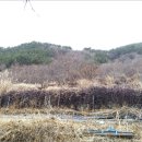 고전초등학교고남분교장 이미지
