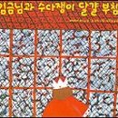 신타 이미지