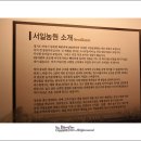 서일식당 이미지