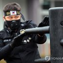 눈썹대장 이미지