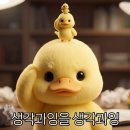 평안환전소 | [독서] 천만 원으로 시작해 매달 500만 원 받는 ETF 월배당머신 — 평온 저자