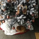 볼케이노당구장 | 해피 12월