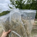 연화목장 이미지