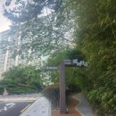 종합버스터미널 건너편 이미지