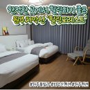 힐링포레스트 - 5277 | [원주 펜션] 치악산 숲속에서 제대로 힐링하고 온 '힐링포레스트' D동 후기