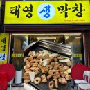 태영생막창 | 대전 탄방동 막창 맛집 태영생막창 현지인 찐추천&amp;아쉬웠던 후기 [내돈내산]