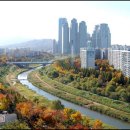 아름다운숲 Daum카페