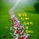 새만금 청보리농장 이미지