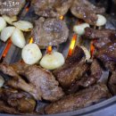 돼지블라썸 티스토리