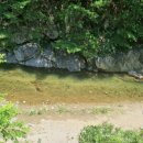 용사리민박 이미지