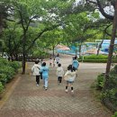 호신태권도 네이버블로그