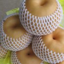 에덴농장 이미지