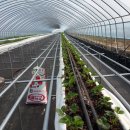 바람뜰농장 이미지