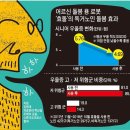 “사랑해” “할머니 최고”… 독거노인 마음 돌보는 AI로봇 이미지