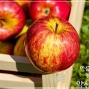 와리농장 이미지