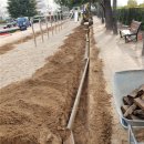 주감초등학교 이미지