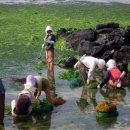 펌-리서치(주) 이미지