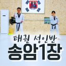 송암ATA태권도 이미지