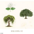 풍년 이미지