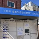 미주네과일