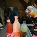 비사벌편의점 이미지