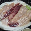 돌고래회수산 이미지