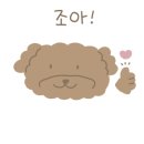 베이비숑 그루밍 이미지