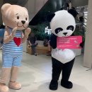 도그앤츄 | 커넥트현대 청주점 오픈기념 방문 후기 앞으로 갈까 말까?