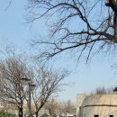 천지태권도장 이미지